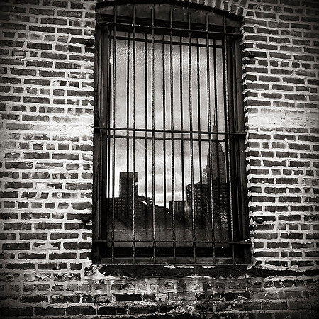 NYC_Pete_111024_2664