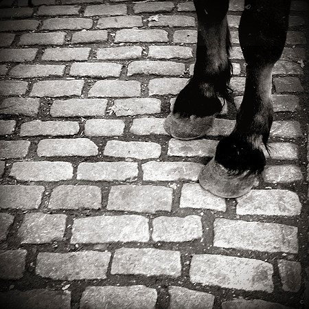 NYC_Pete_111024_3332