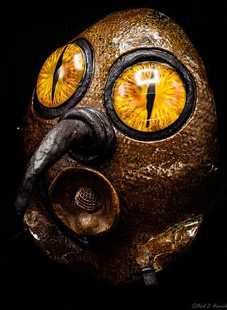 20191207_Masks-11