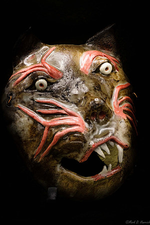 20191207_Masks-29