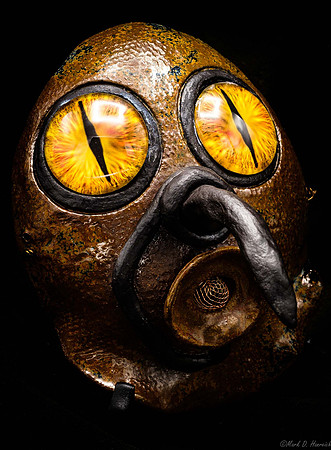 20191207_Masks-10