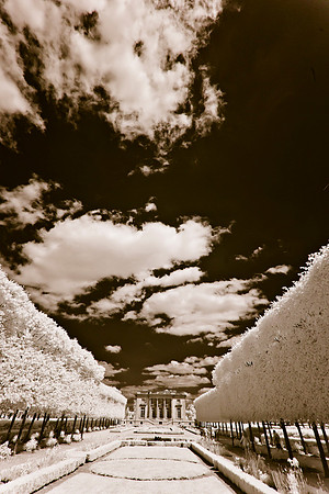 Thoshinsky-31-2